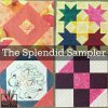 The Splendid Sampler – Blocks 16-23